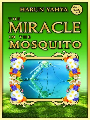 cover image of The Miracle in the Masquito